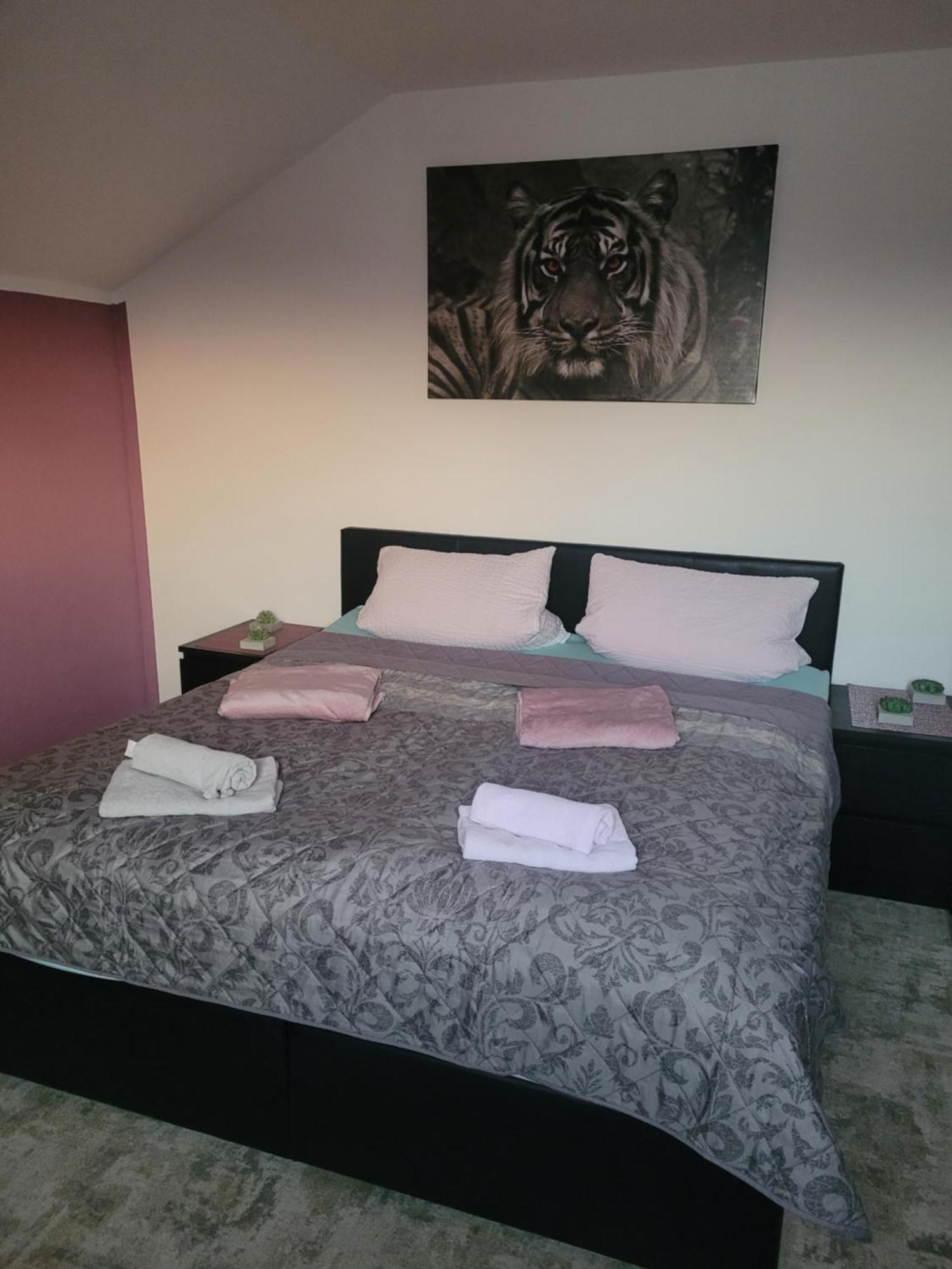 Apartament Alexas *